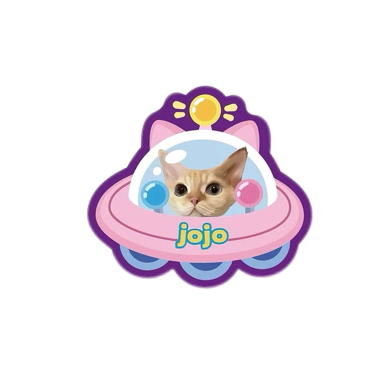 Pet Custom Image Carpet Multiple Shapes