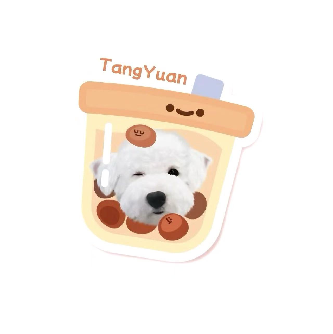 Pet Custom Image Carpet Multiple Shapes