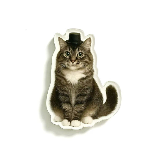 Pet Custom Acrylic Refrigerator Magnets