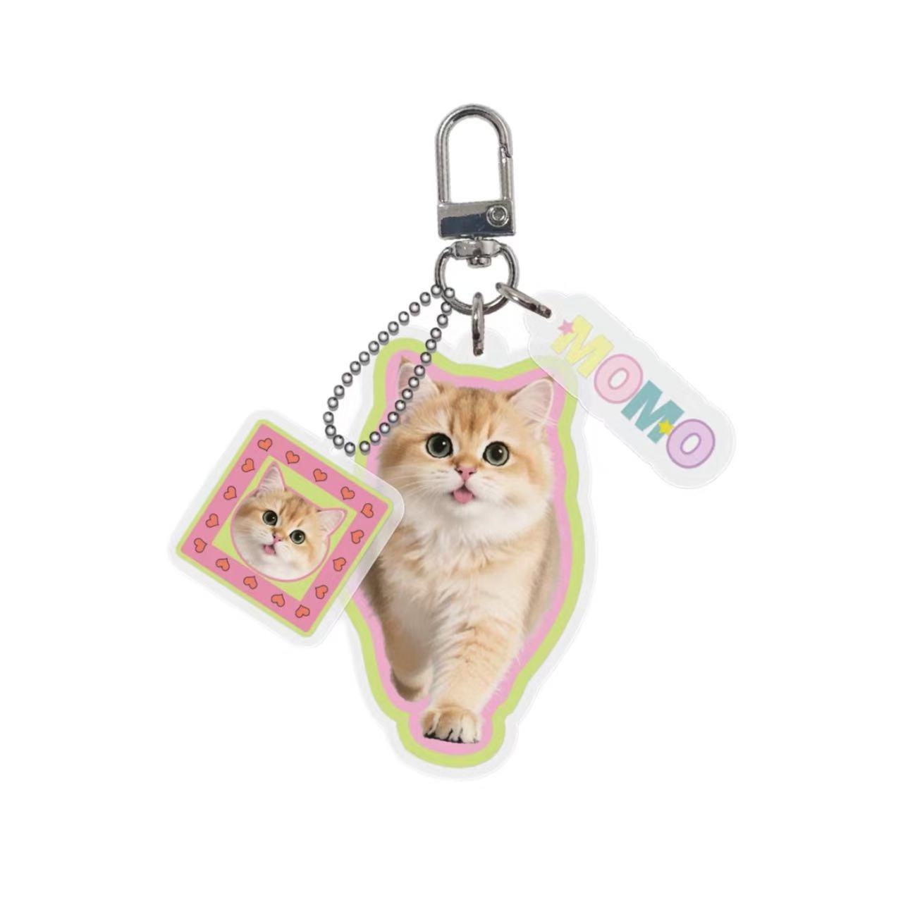 Keychain Bag Accessories Custom Pet Image